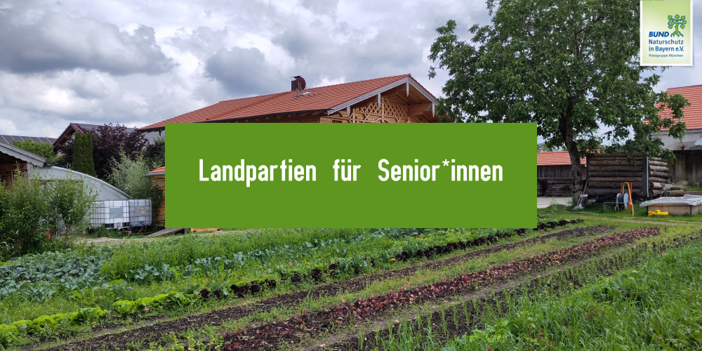 Miniaturansicht-Eintrag