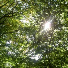 Weit weg von einer Lösung: München schlecht für die Hitze gerüstet