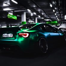 Der Wolf lächelt, um die Zähne zu zeigen