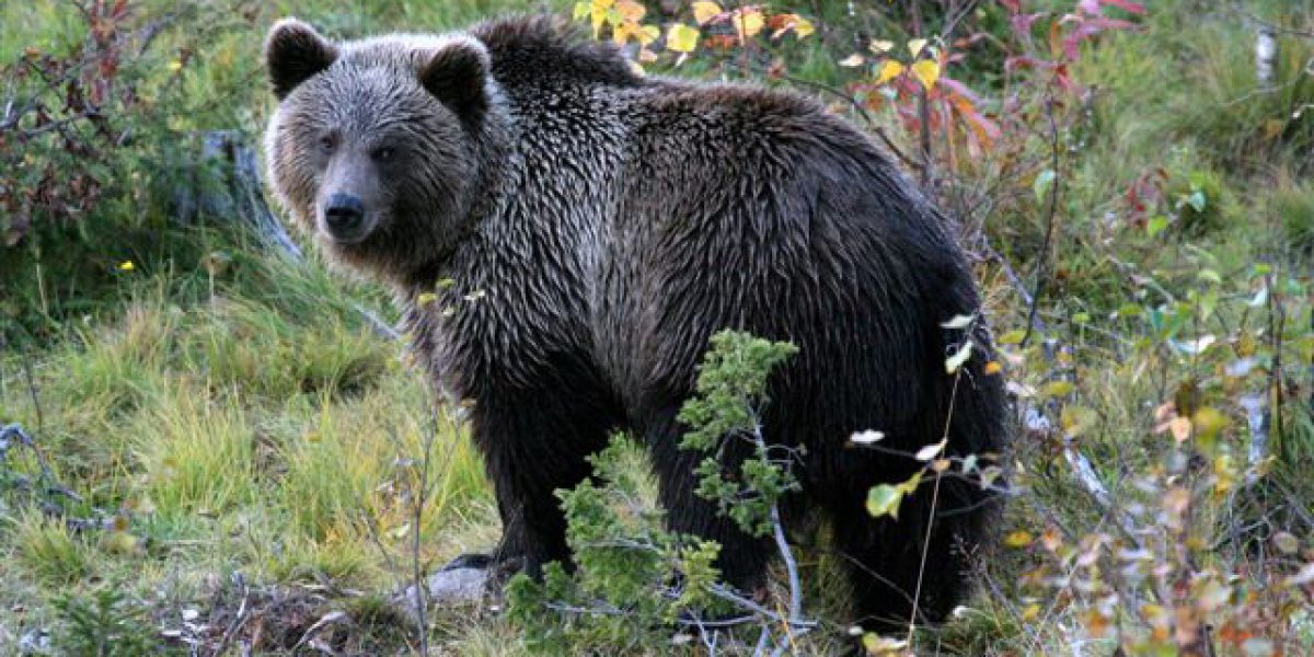 Studienfahrten mit Hartwig Walletschek