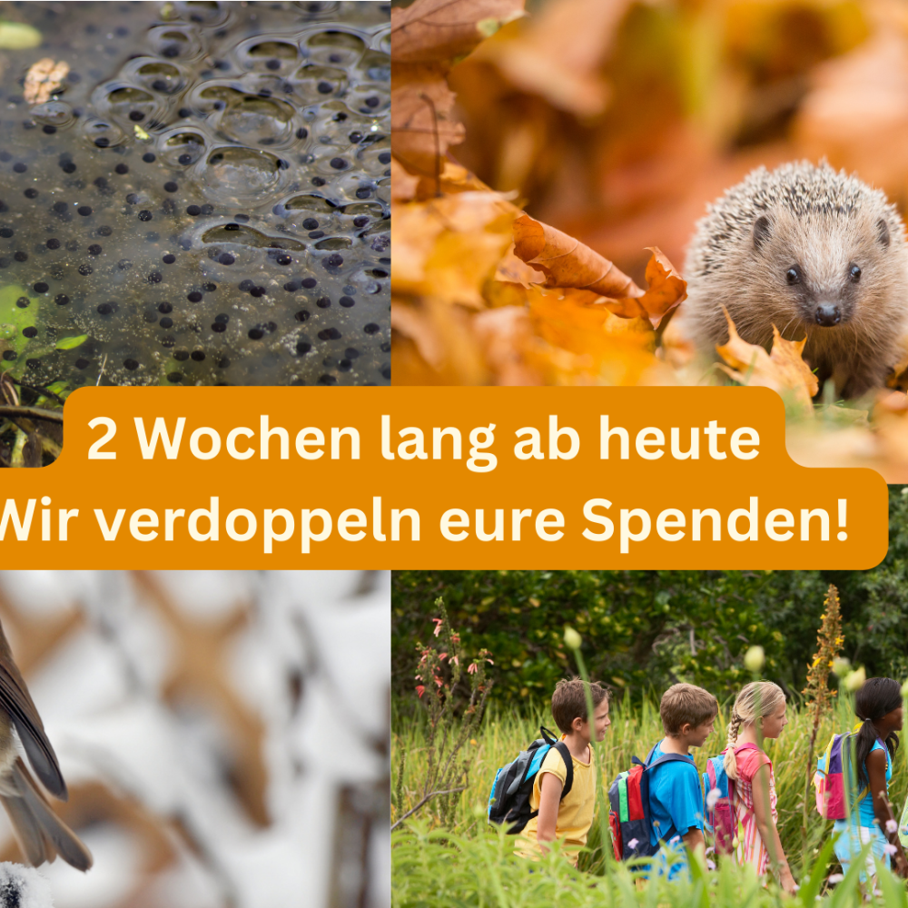 Matching-Aktion: Wir verdoppeln eure Spenden!