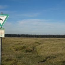 BN fordert: An Koalitionsvertrag halten – kein Tunnel im Norden
