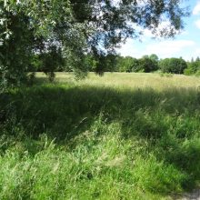 BN lehnt die Teilbebauung des Klimaparks am Salzsenderweg ab