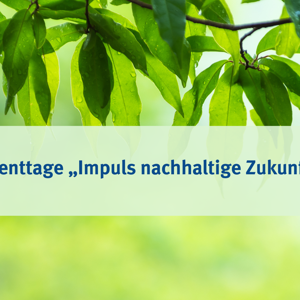 „Impuls nachhaltige Zukunft“ – Höhenkirchen-Siegertsbrunn feiert 5 Jahre Klimaschutzgemeinde