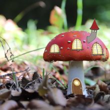 Sendung November 2020: Neue Häuser aus Pilzen – noch ganz dicht?