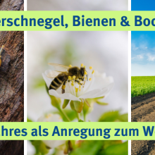 Sendung Oktober 2023: Bierschnegel, Bienen & Boden – Natur des Jahres als Anregung zum Weiterdenken