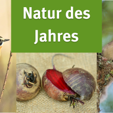 Sendung März 2023: Natur des Jahres