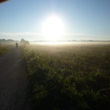 Affront um den Landschaftspark West