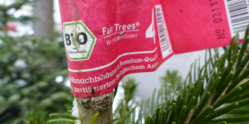 Miniaturansicht-Eintrag