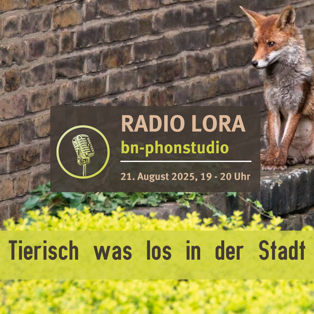 Sendung August 2025: Tierisch was los in der Stadt