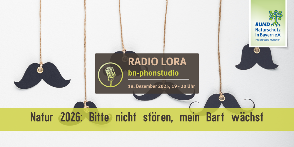 PHONSTUDIO Sendung Dezember 2025