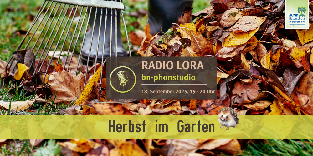 Miniaturansicht-Eintrag