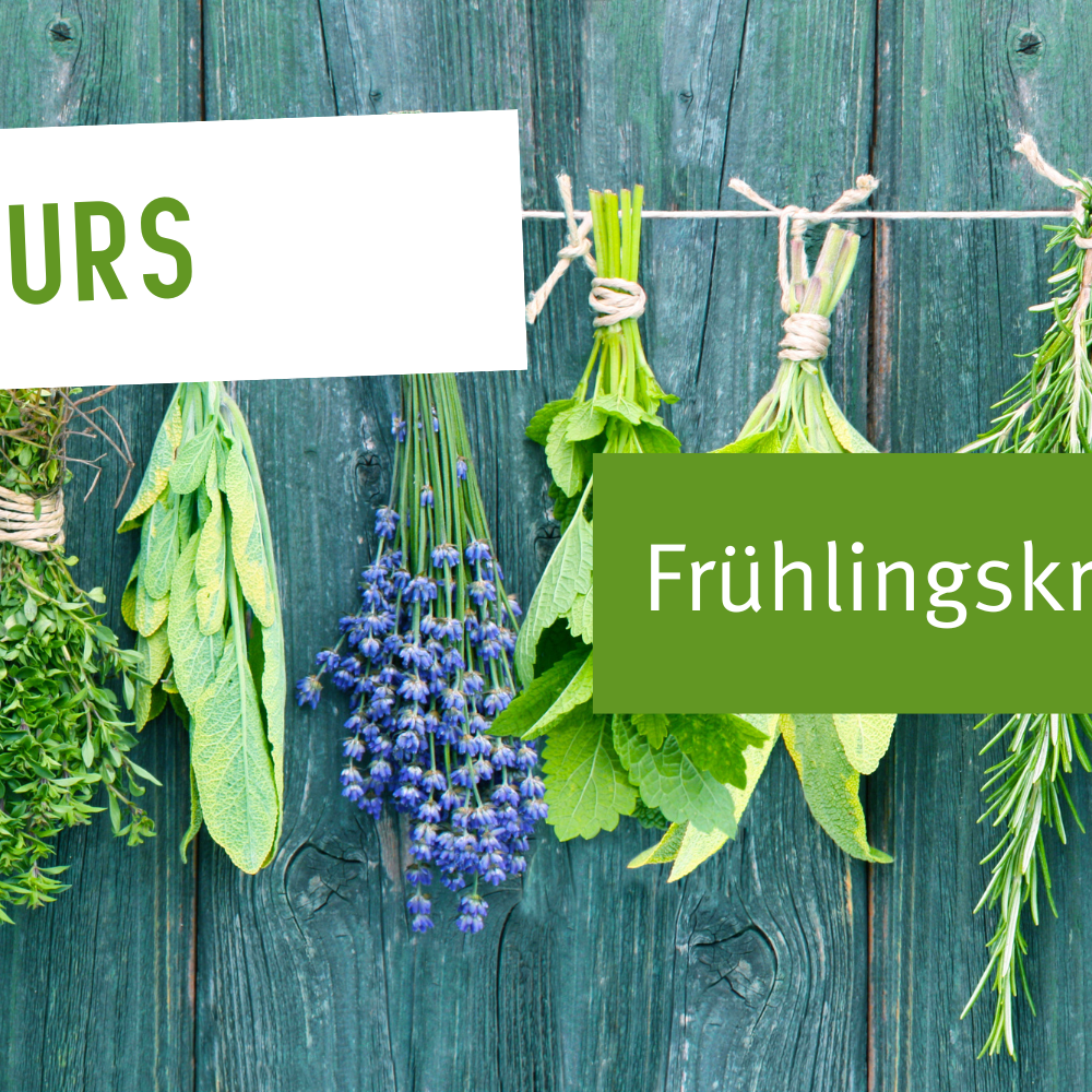 Frühlingskräuterküche &#8211; Kochkurs
