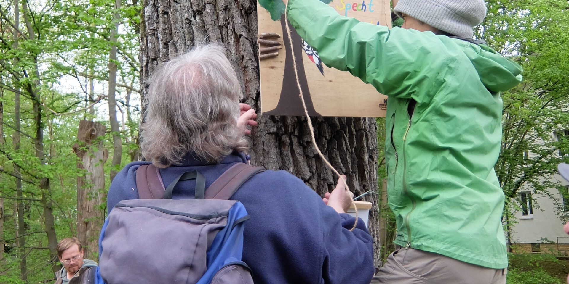 Aktive des AK Baumschutz beim Aufhängen eines Baumschildes