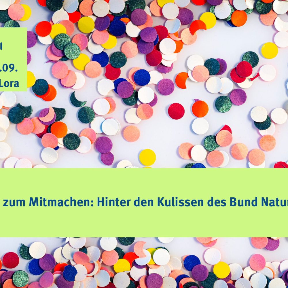 Donnerstag, 19. September: bn-phonstudio von 19 &#8211; 20 Uhr