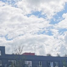 Mehr Nachhaltigkeit auf Gewerbeflächen