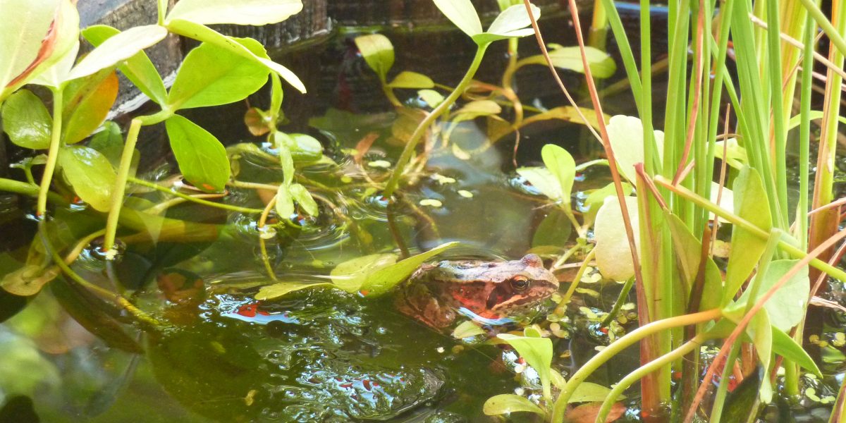 Tipps für die Jahreszeiten