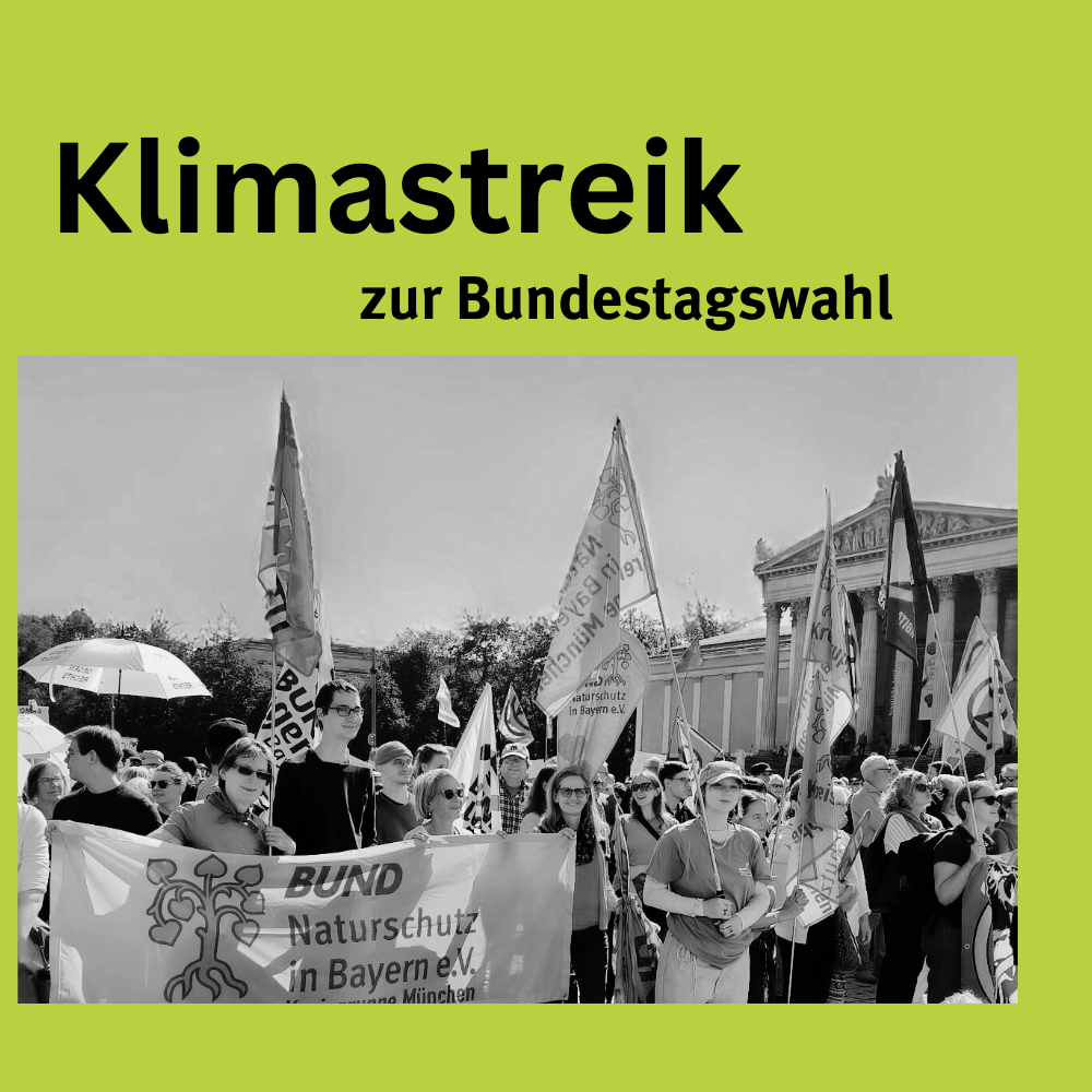 Klimastreik zur Bundestagswahl