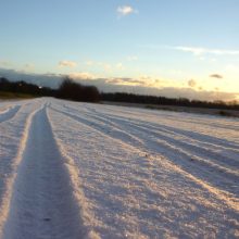 Schnee und Eis – besser kein Streusalz!