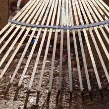 BN: Frühjahrsputz im Garten hat noch Zeit