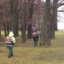 Nur Lärm und Staub mit dem Laub