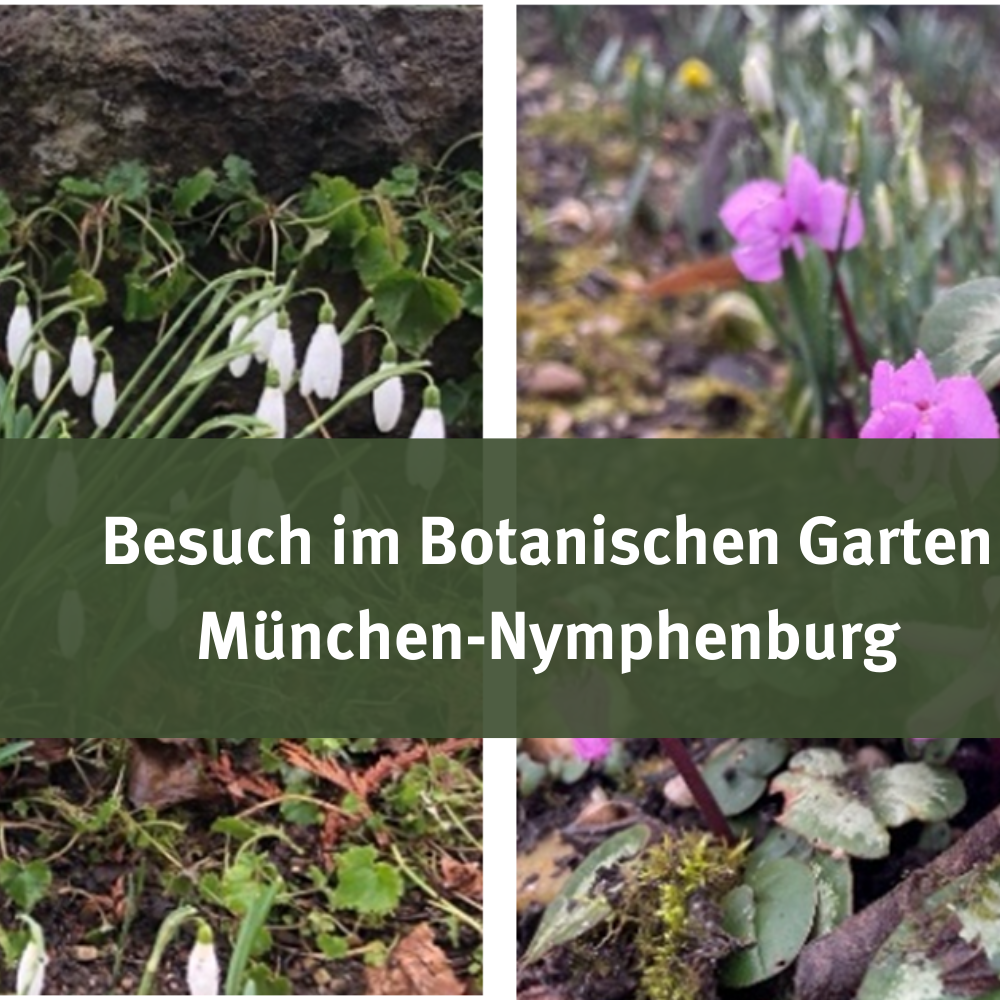 Besuch im Botanischen Garten München-Nymphenburg