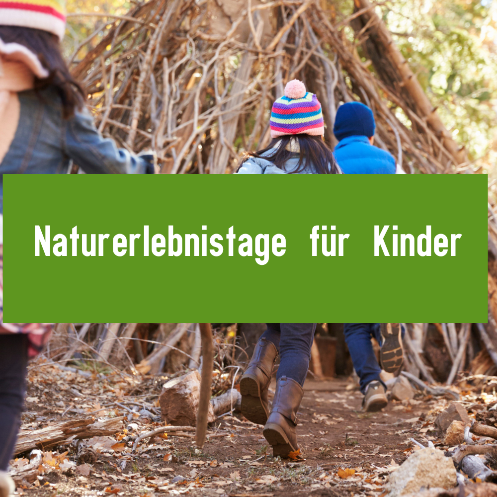 Aktuelles Programm: Naturerlebnistage für Kinder