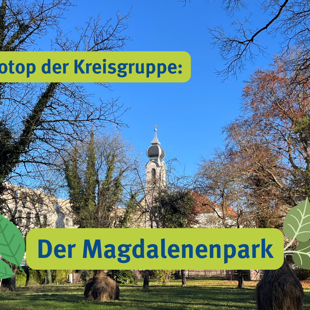 Das neue Biotop: Der Magdalenenpark