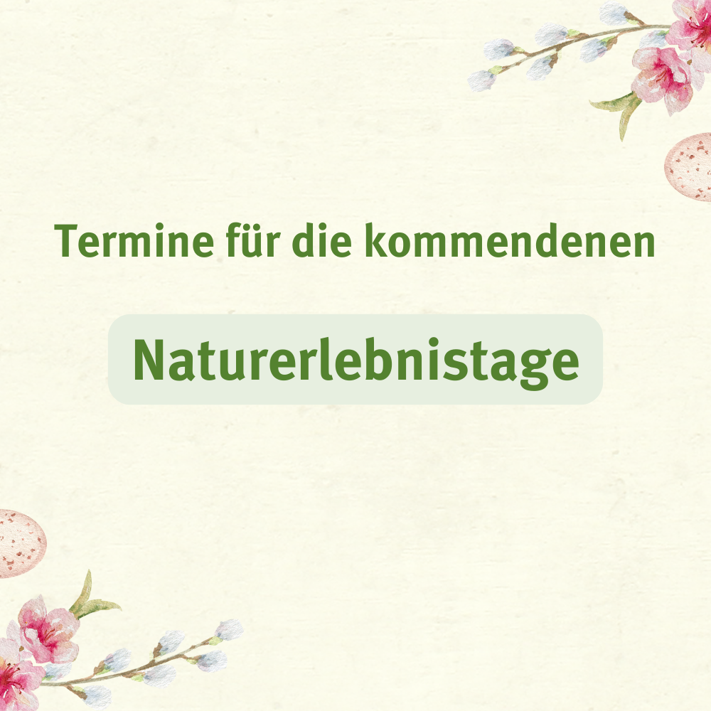 „In den Kirschen“ – Termine für die kommenden Naturerlebnistage