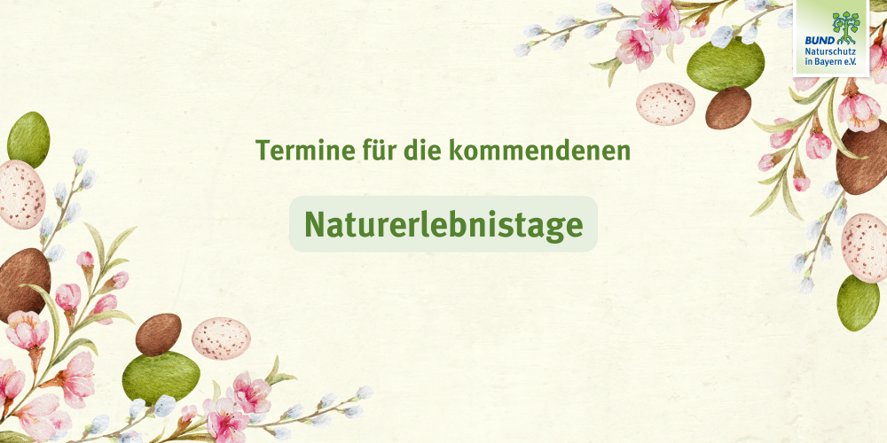 Miniaturansicht-Eintrag