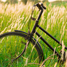 Öffentliche Gelder für bürgerschaftliche Projekte zur Mobilitätswende sollen gestrichen werden