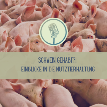 Sendung Mai 2025: Schwein gehabt? Einblicke in die Nutztierhaltung