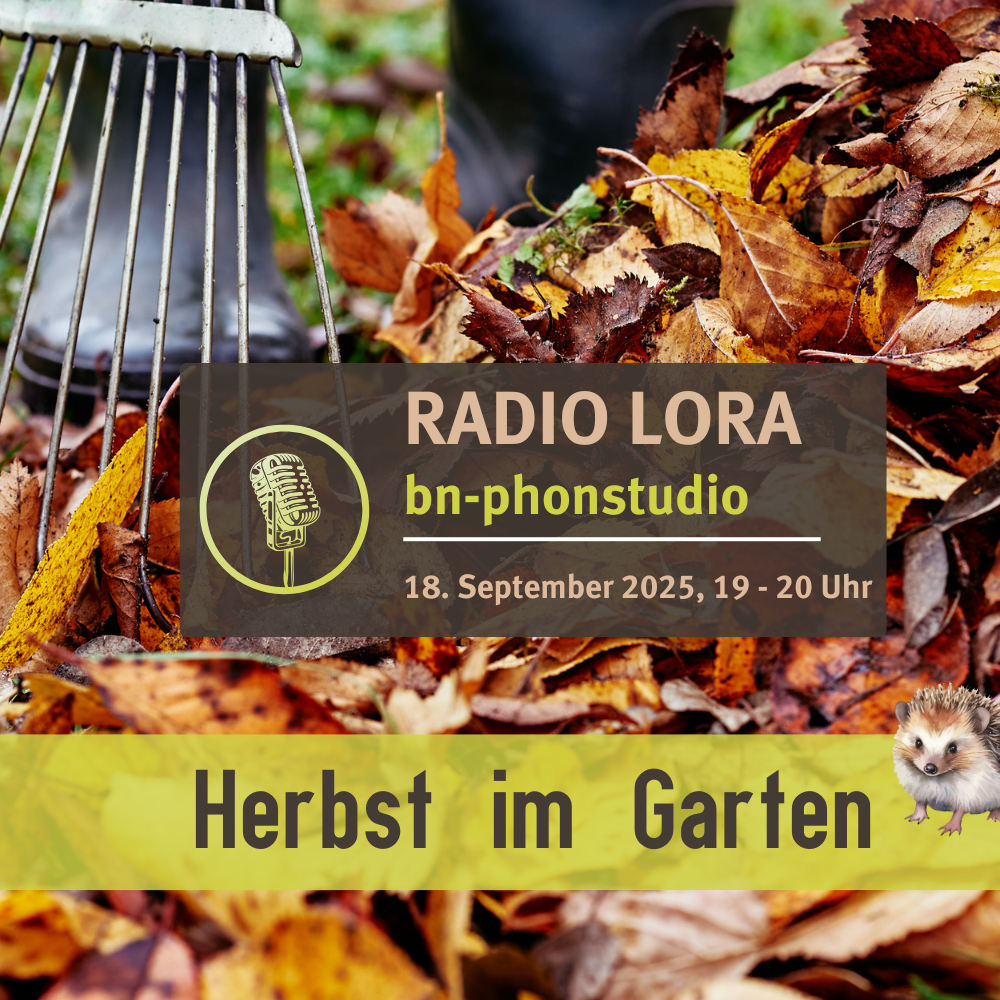 PHONSTUDIO Sendung September 2025