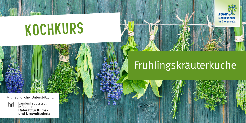 Frühlingskräuterküche – Kochkurs