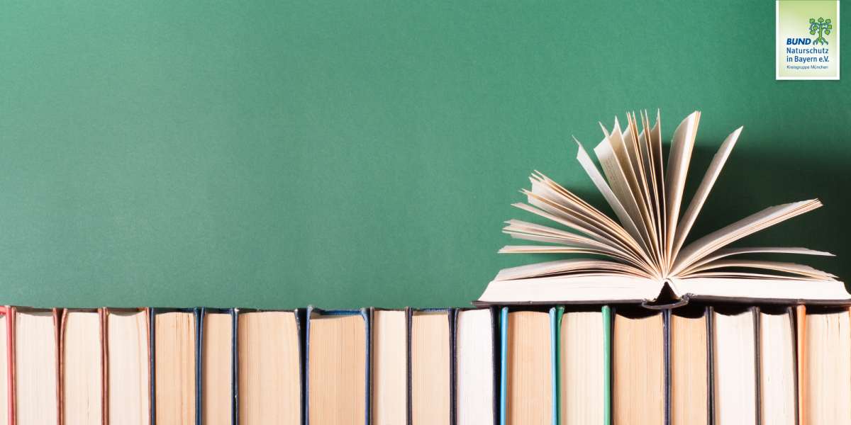 Unsere neuen Rezensionen für das Lesejahr 2026