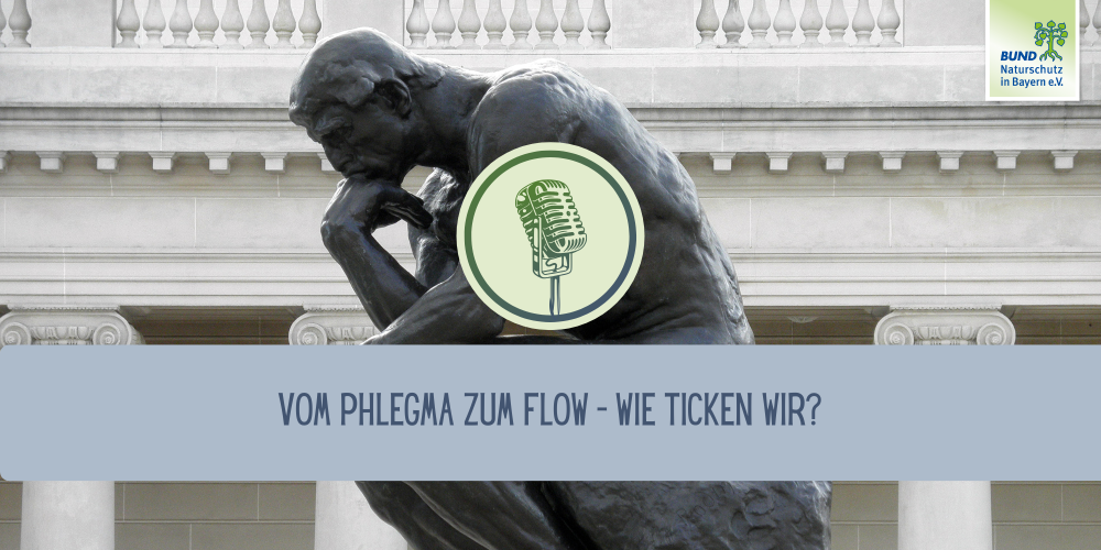 Miniaturansicht-Eintrag