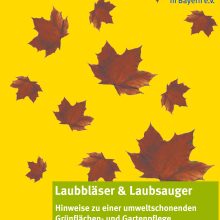 Wenn das Laub staubt