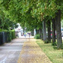 Verlängerung der U5: Massiver Kahlschlag im Münchner Westen