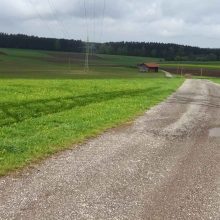 Umweltverbände lehnen Umgehungsstraße bei Hohenschäftlarn ab