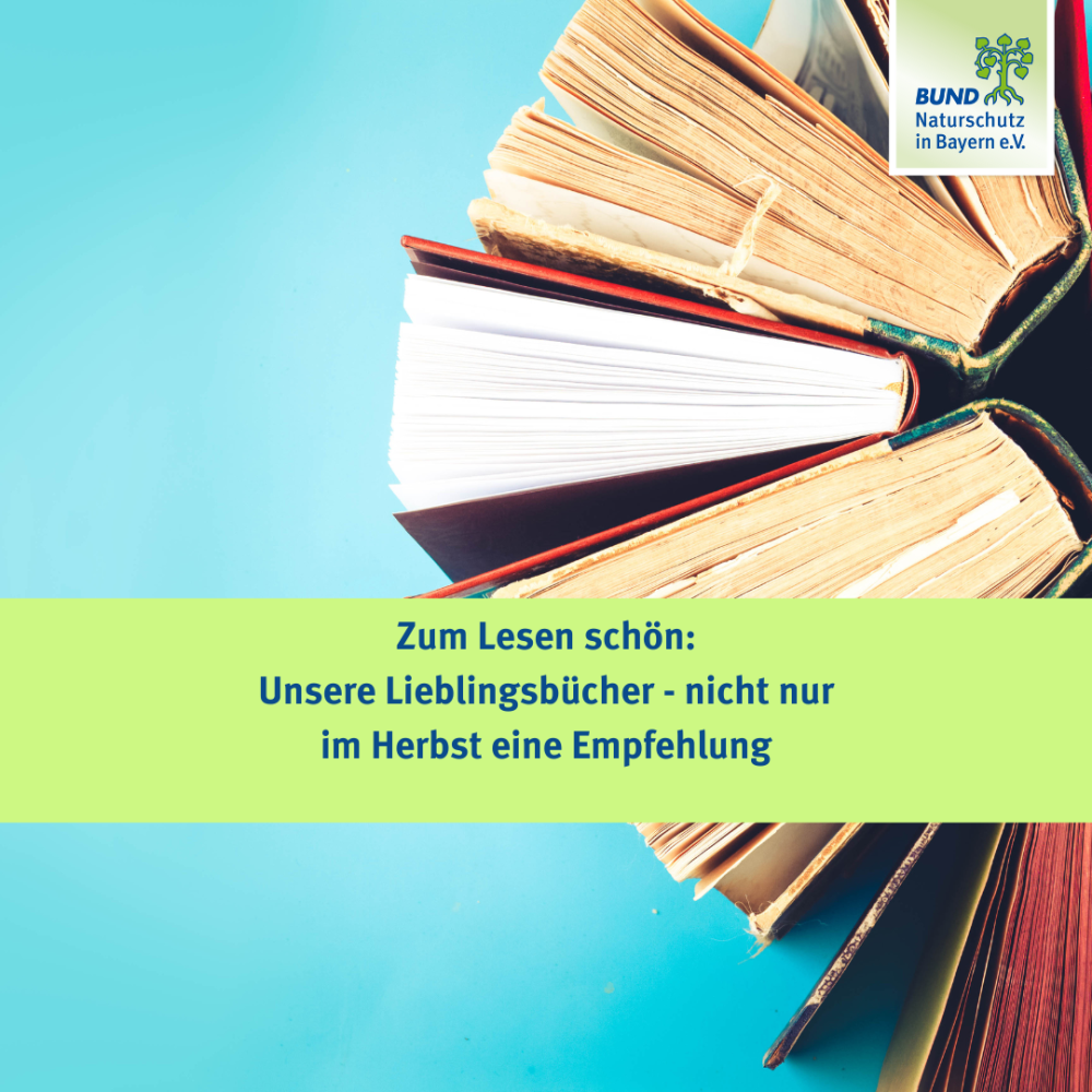 Sendung Oktober 2024: Zum Lesen schön