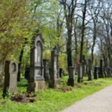 Sendung Juni 2017 – Ruhe voller Leben: Oasen für den Artenschutz mitten in der Stadt