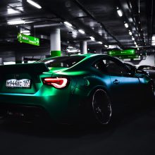 Der Wolf lächelt, um die Zähne zu zeigen