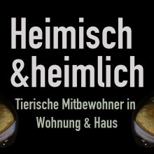 Sendung Februar 2022: Heimisch & heimlich