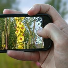 Sendung Juli 2020: Natur per Klick oder besser anfassen?