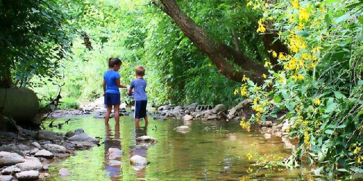 Materialien für pädagogische Fachkräfte