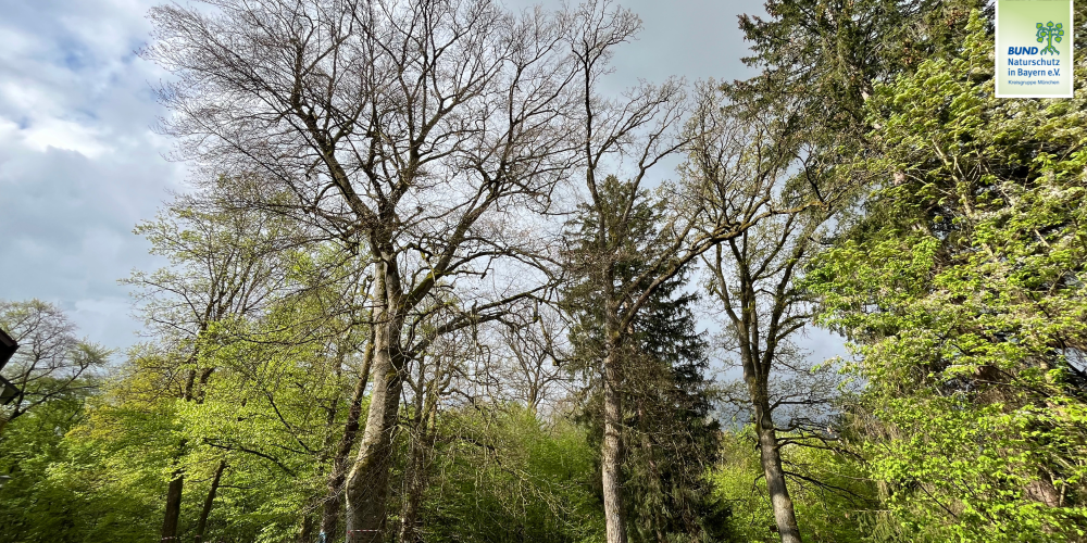 Aktion in der Ami-Siedlung