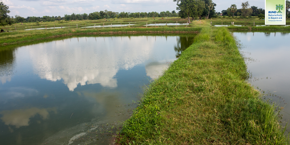 Miniaturansicht-Eintrag