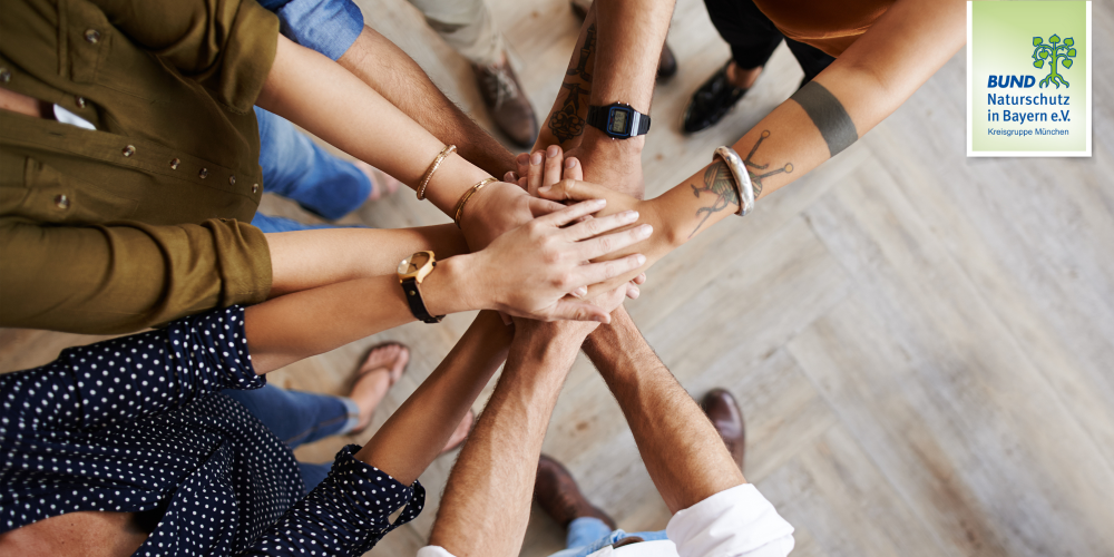 Miniaturansicht-Eintrag