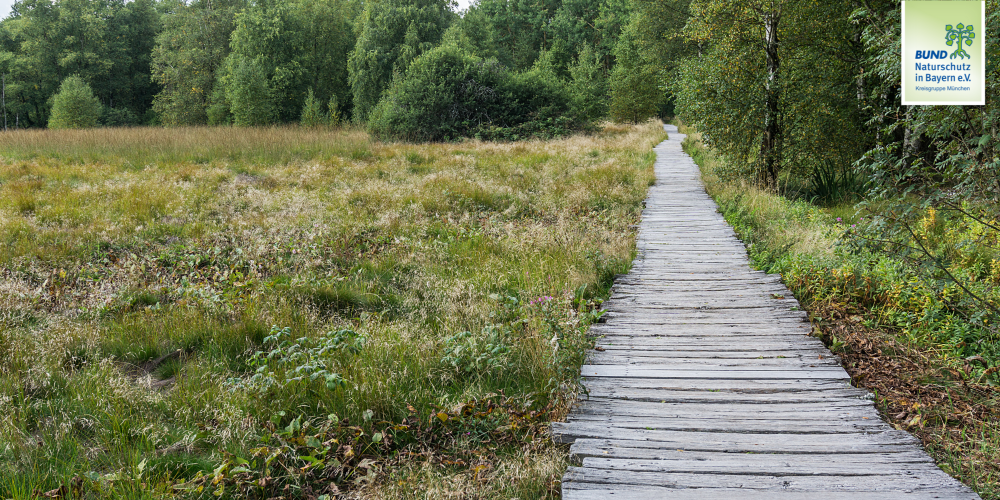 Miniaturansicht-Eintrag