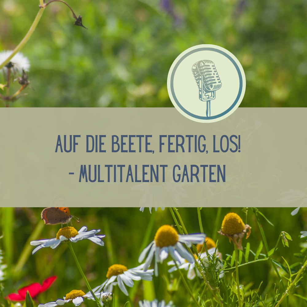 Sendung April 2025: Auf die Beete, fertig, los! – Multitalent Garten